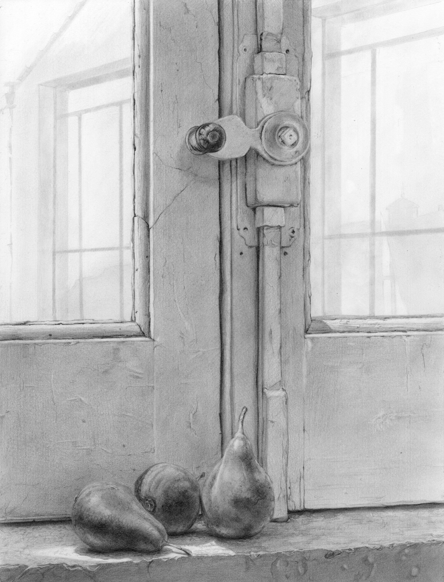 Brigid O’Kane, Cincinnati, OH, USA. “Pears of Padula,” graphite on paper.