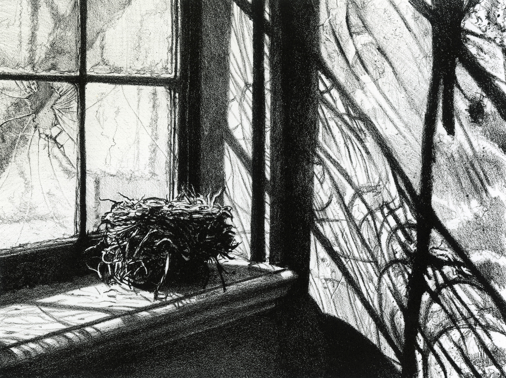 Brigid O’Kane, Cincinnati, OH, USA. “Vessel,” stone lithography.