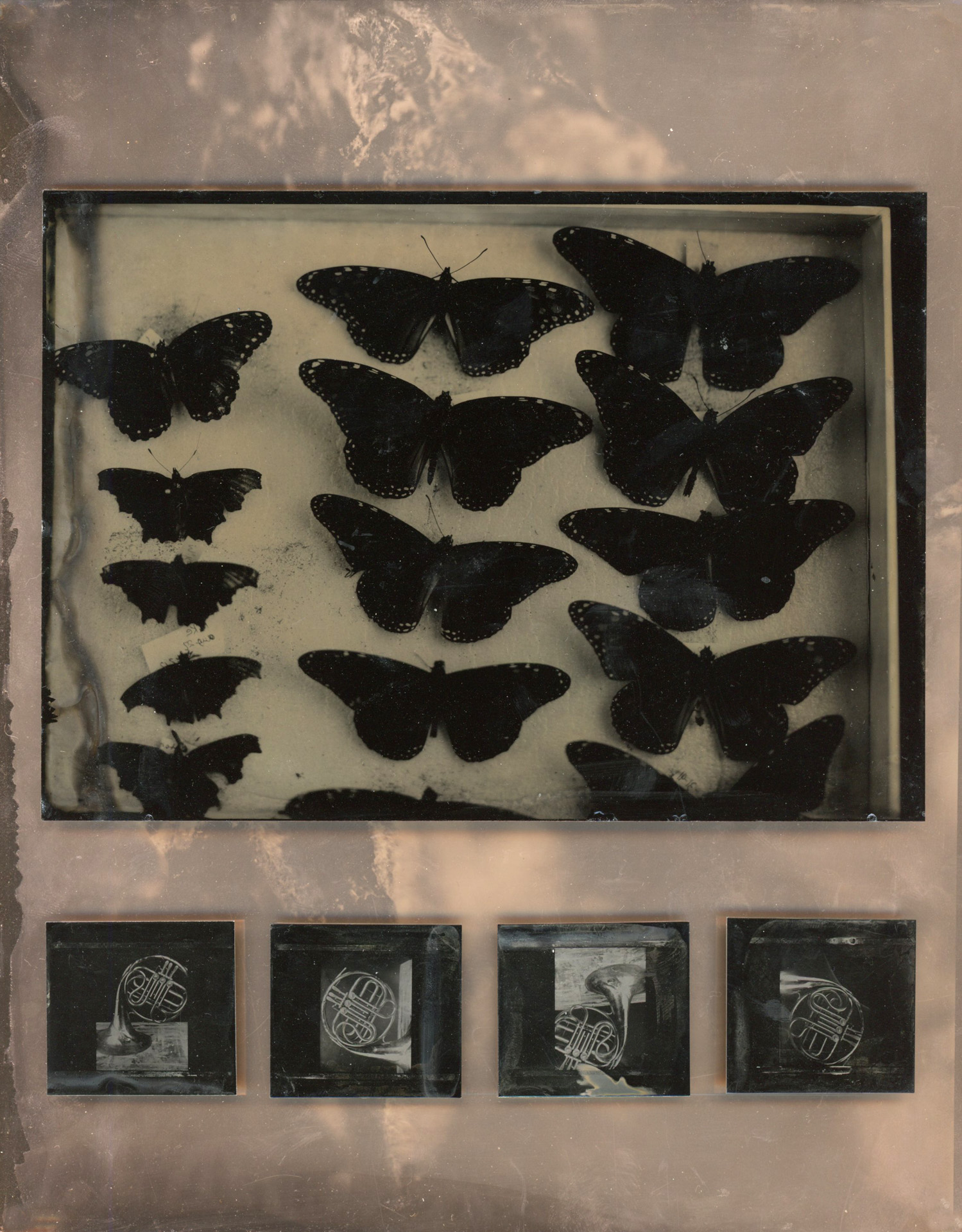 Ryan Stander, Minot, ND, USA. “Notes on a Growing Insecurity,” wet plate collodion.
