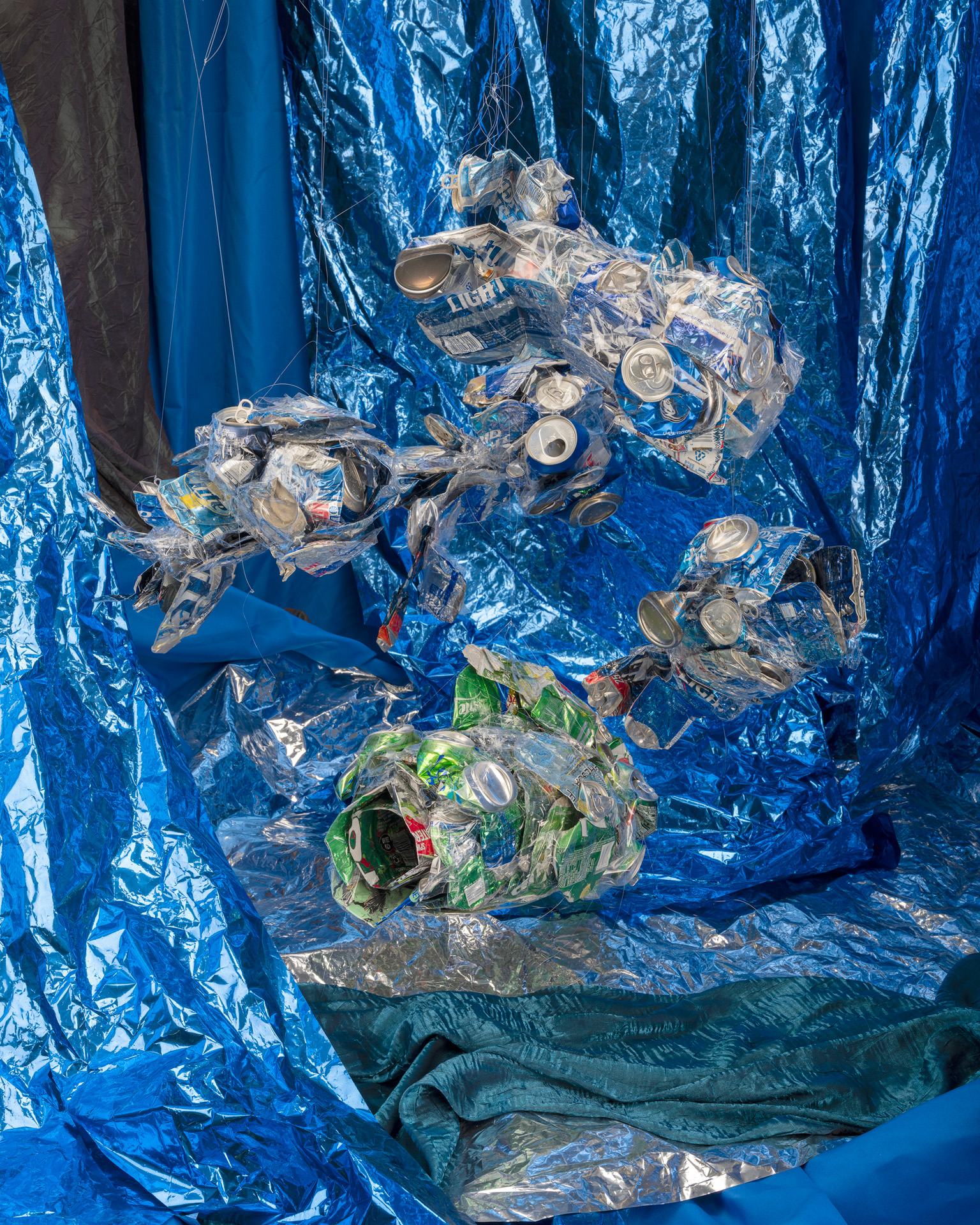 Marilyn Waligore, Richardson, TX, USA. “Aluminum Blue Fish # 16,” archival pigment print on cotton.