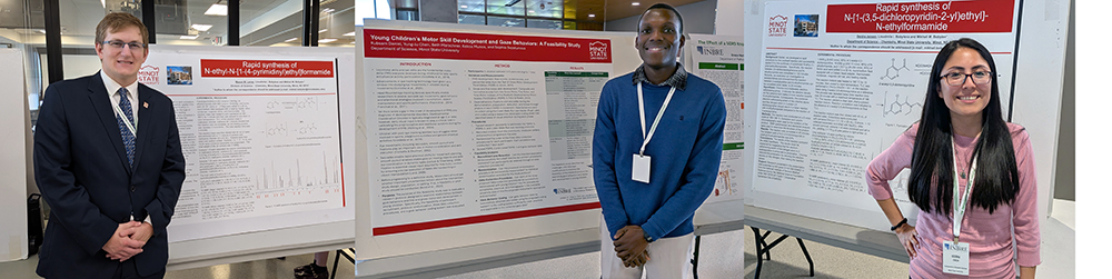 Collage of students presenting at NDIMBRE