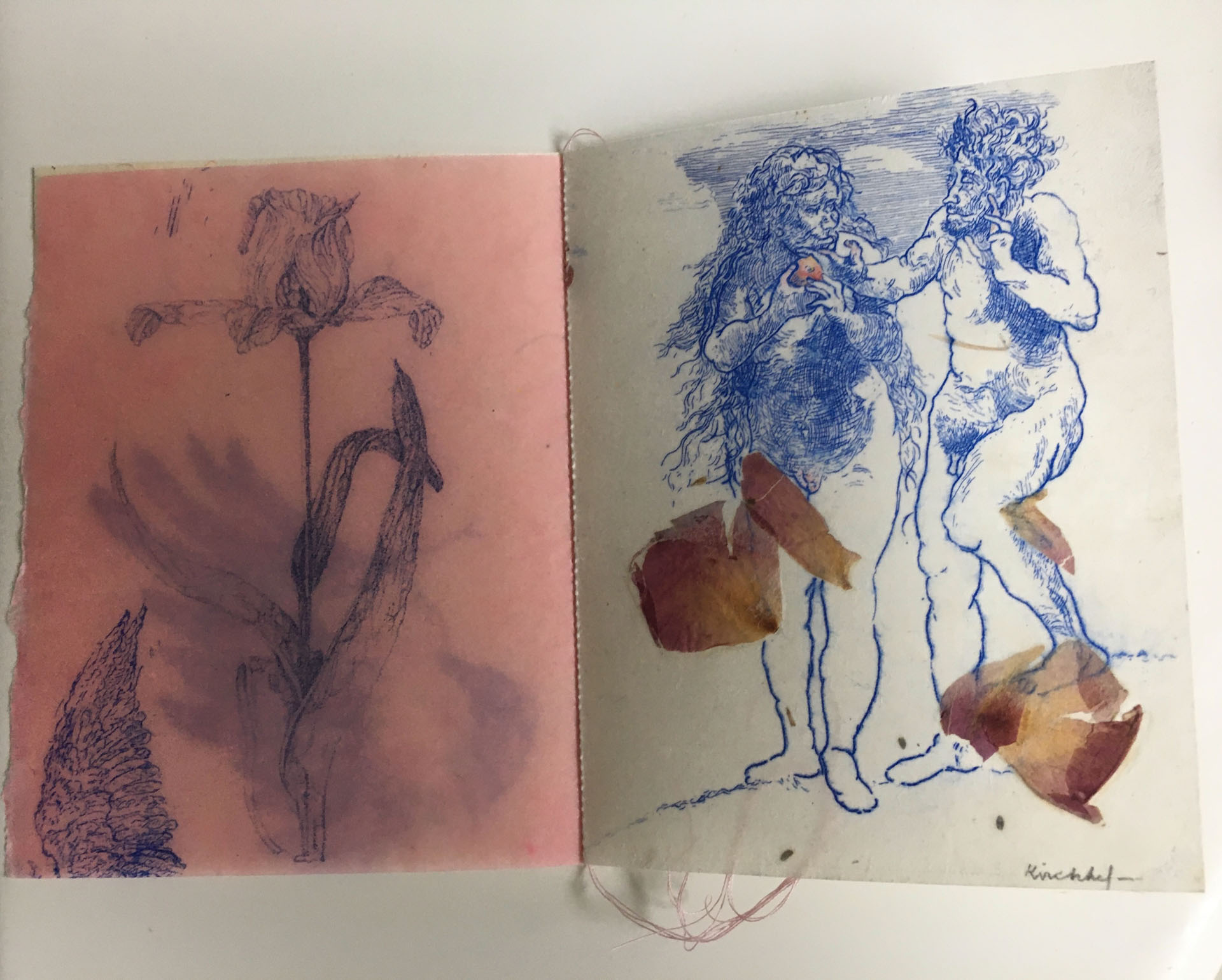 Dan Kirchhefer, Norman, OK, USA. “Magic Garden,” etchings, bookmaking.