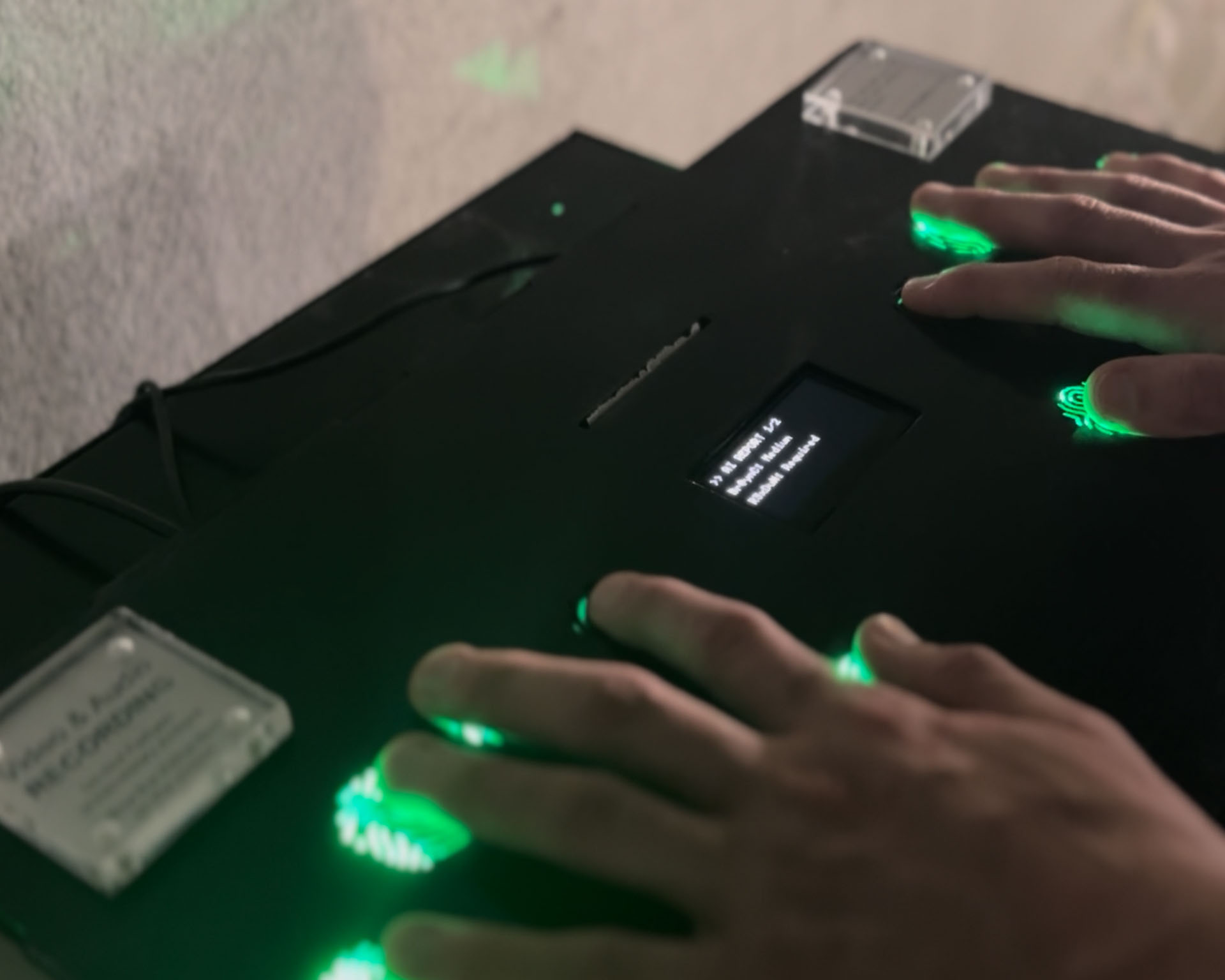 Li Tang Chen, Garden City, GA, USA. “Idomestication,” wood, mix installation.