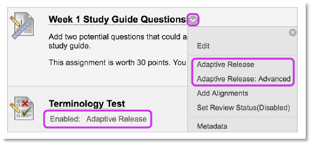 adaptive release steps graphic