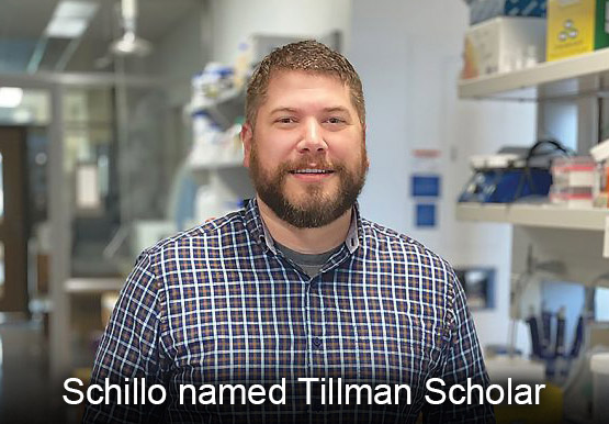 Schillo named Tillman Scholar