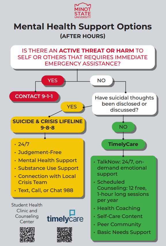 After Hours Mental Health Support