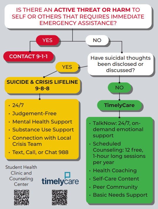 Visual Flow Chart