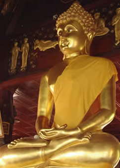 Golden Buddah