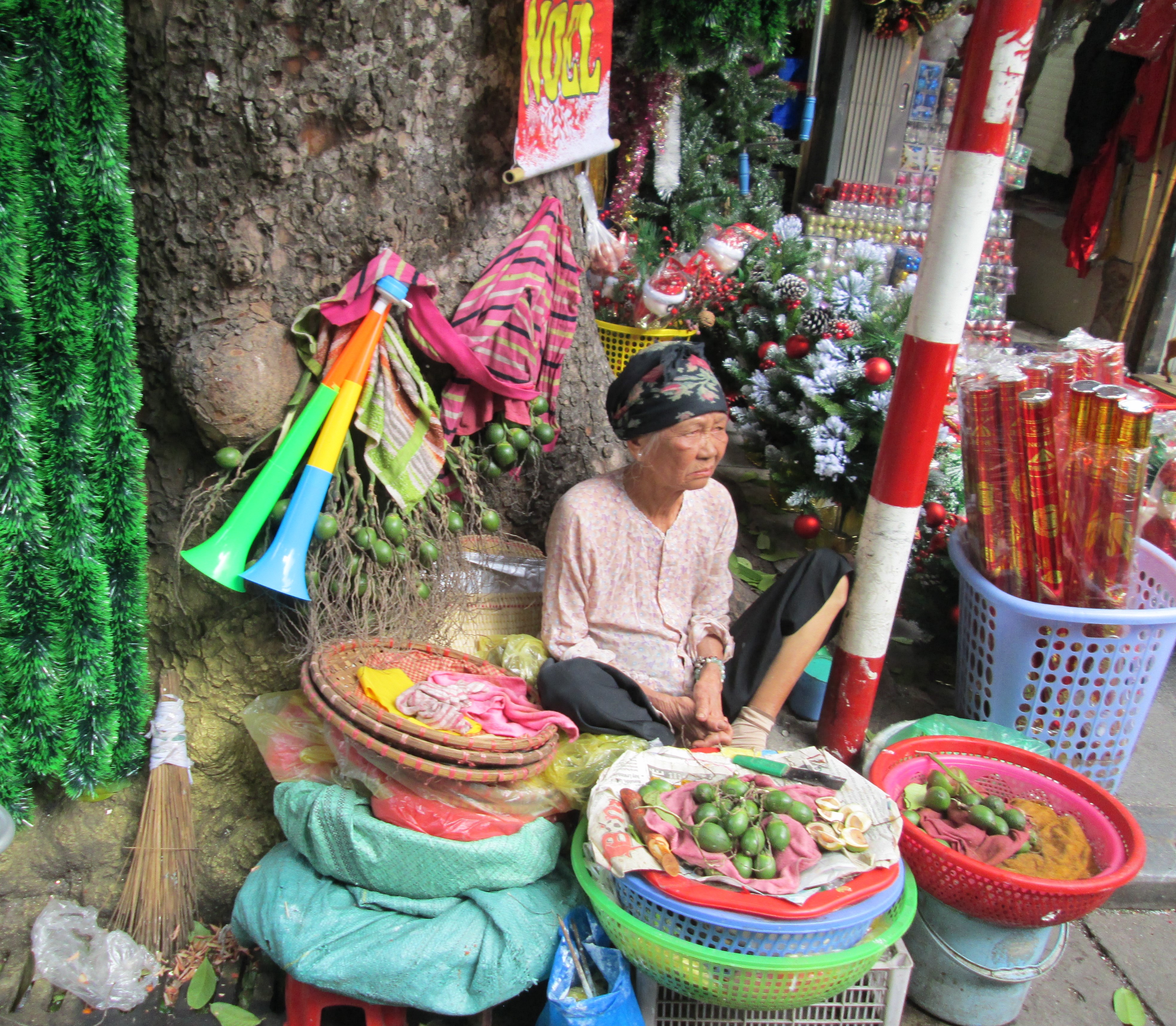 Hanois Street Vendor