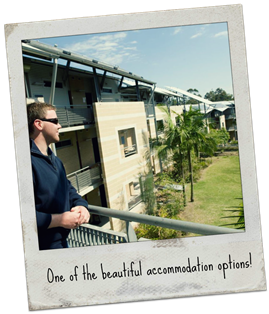 accommodation option