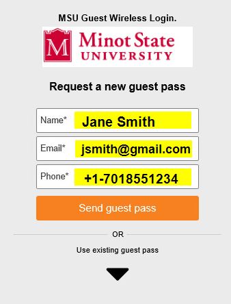 msuemail