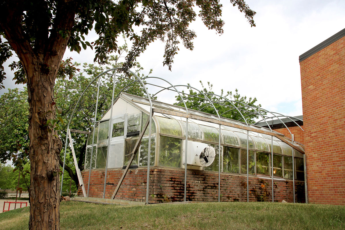 Cyril Moore Greenhouse
