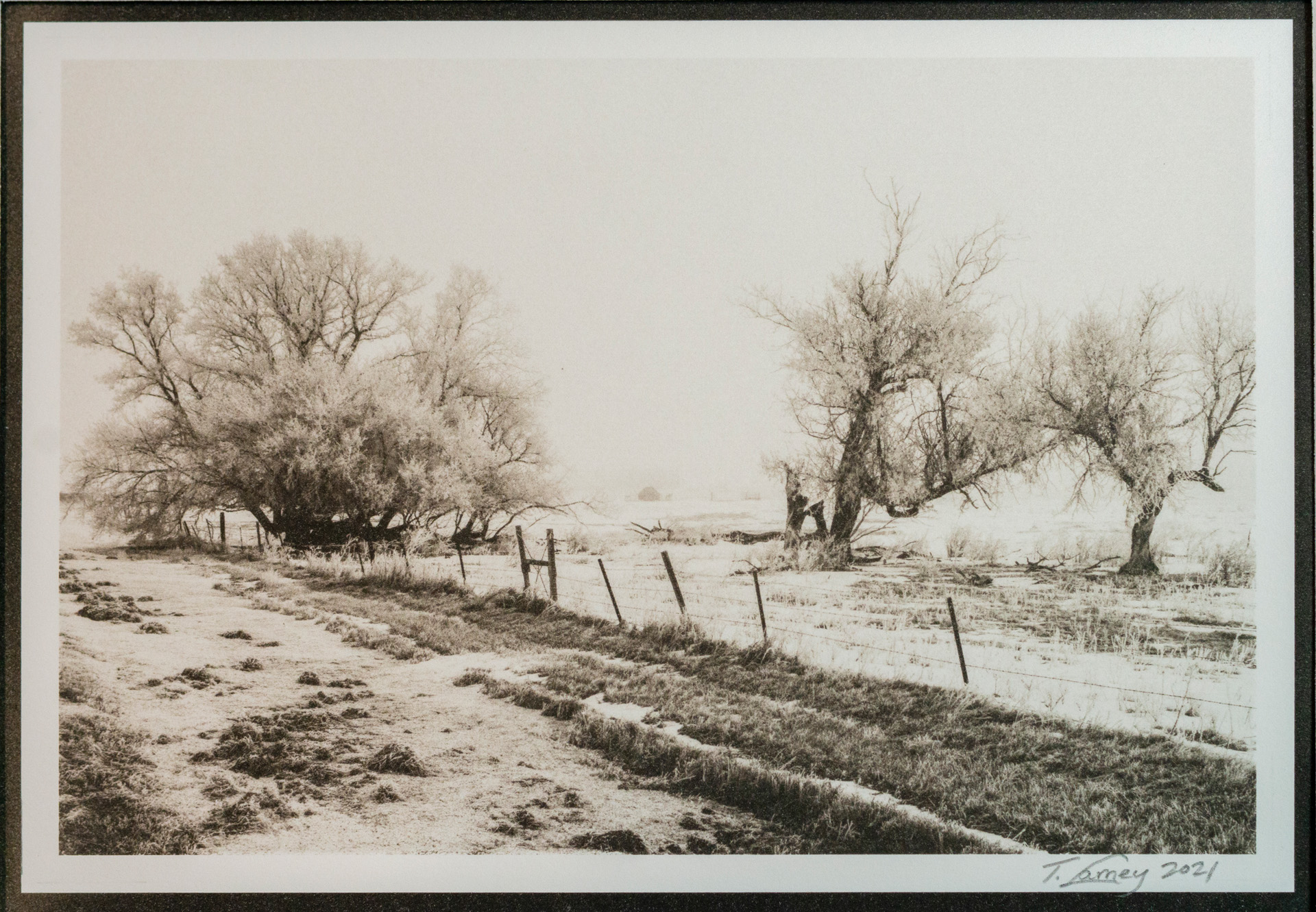 Tim Lamey, Fargo, ND, USA. “Frost - Distant Barn,” photographic palladium print.