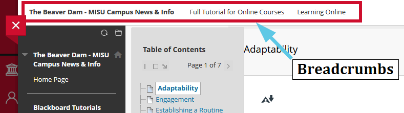 Bread crumbs in a Blackboard page