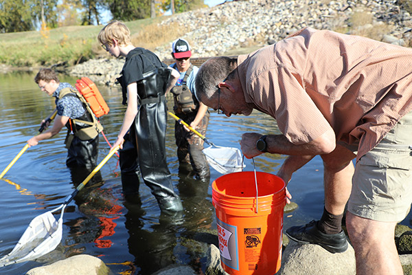 Learning in Action Electrofishing