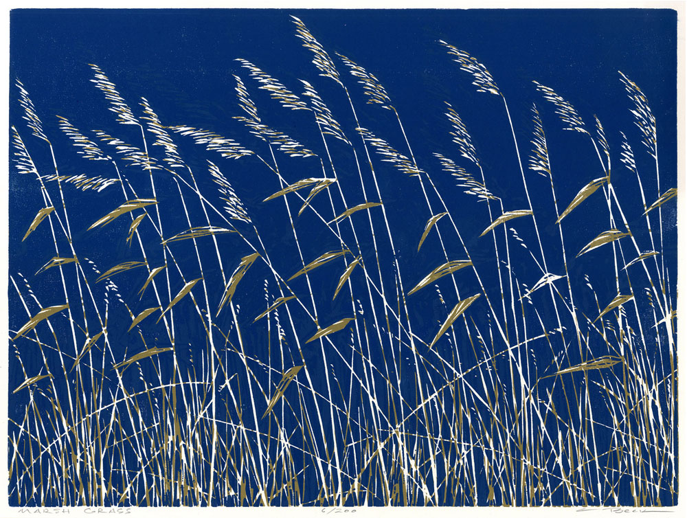 Marsh Grass (1992)